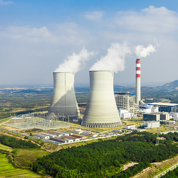 Hebei Tuoruis Importación y Exportación Trading Co., Ltd.